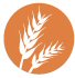 Gluten
